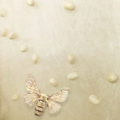 Bäddmadrass Lectus Air Silk